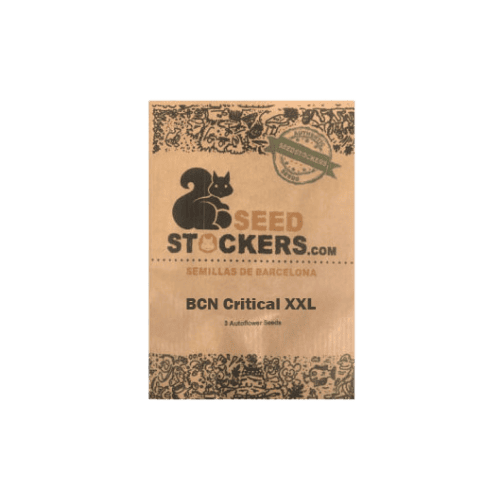 BCN Critical XXL