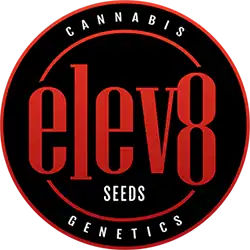 elev8 email logo