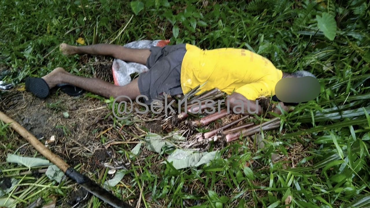 Penemuan Mayat di Bukit Batrem Kota Dumai Hebohkan Warga Sekitar