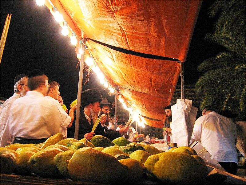 The Ultimate Guide to Sukkot Rentals (2024) 1