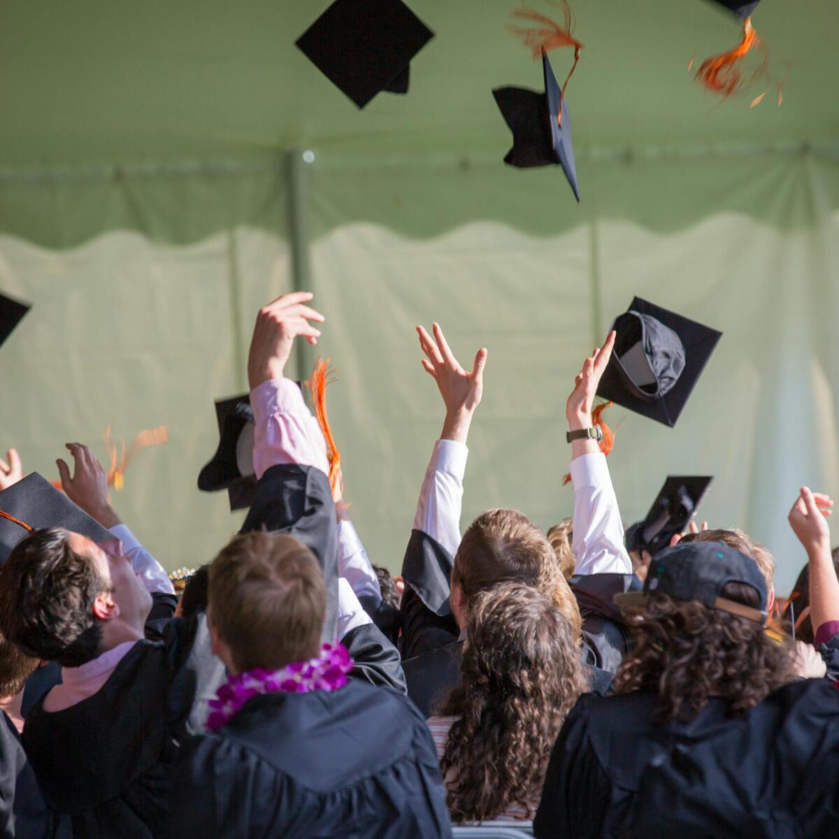 Post Graduate Opportunities In Israel In 2024 1