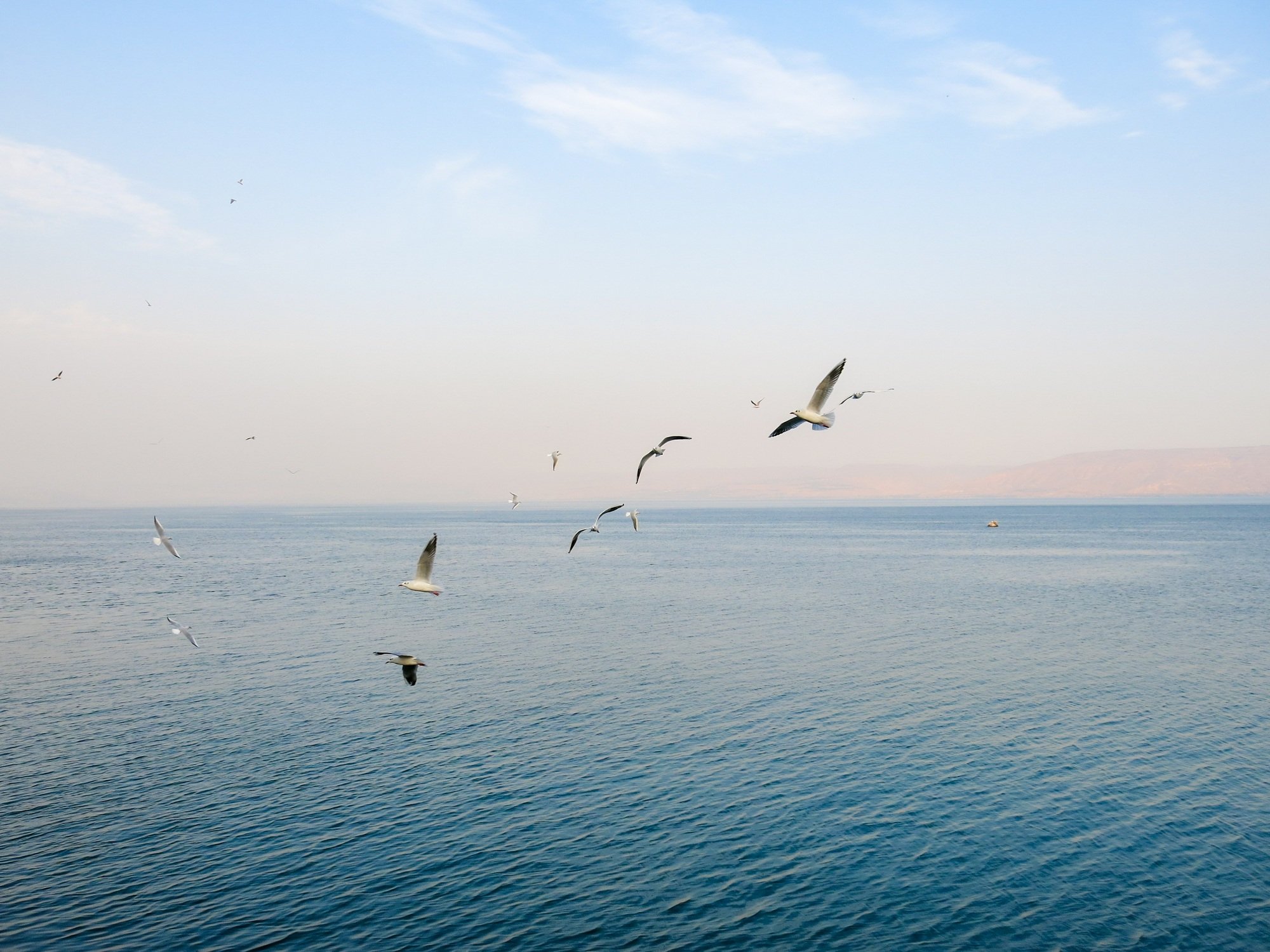 Sea of Tiberias. Coast. Beautiful sea view. Israel