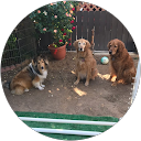 Linda Clark profile picture