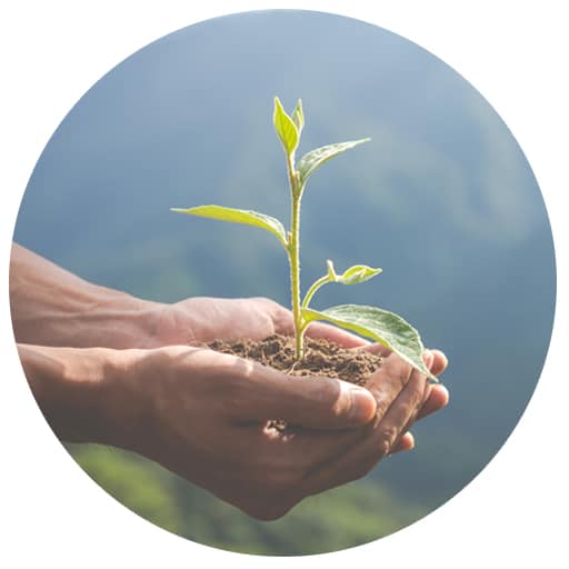 icone-eco-responsable