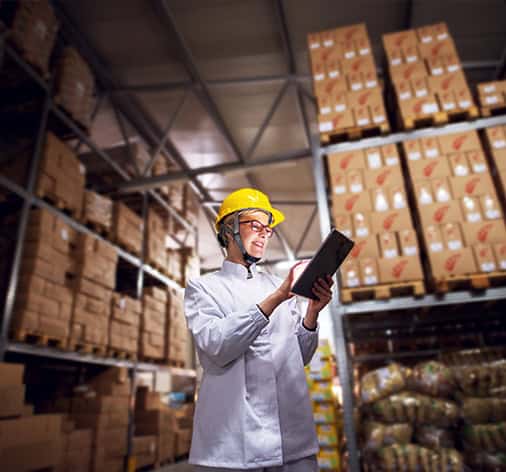 Business Support Services