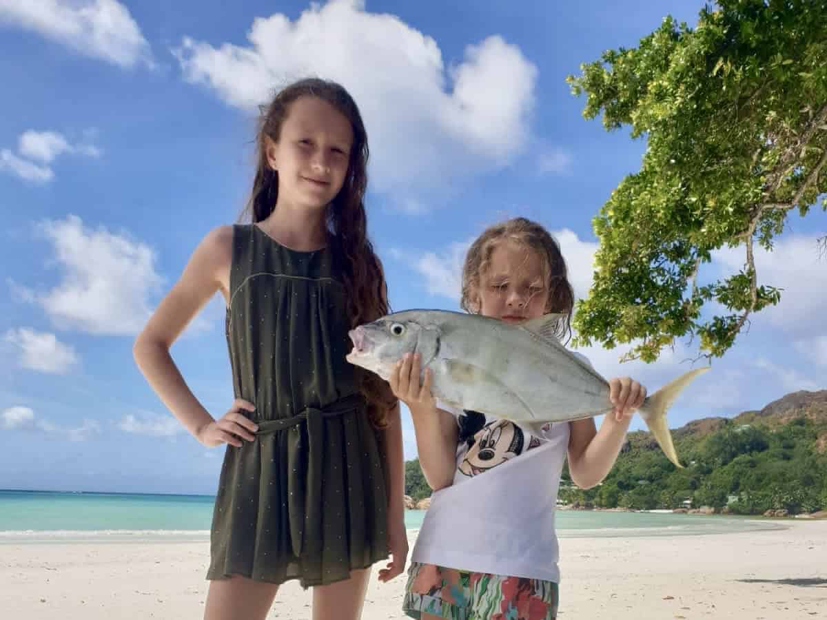 Turtle encounter — respectful distance