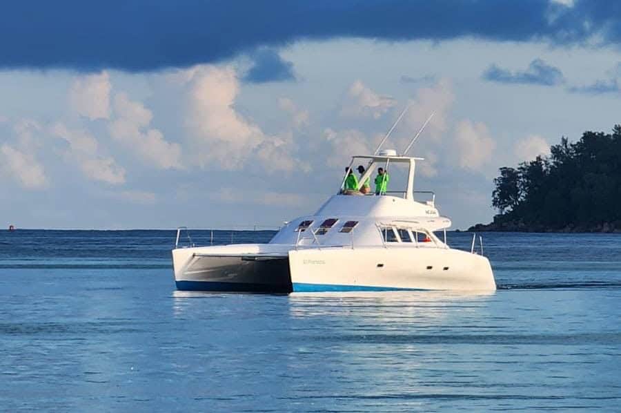 Turtles — snorkeling moment