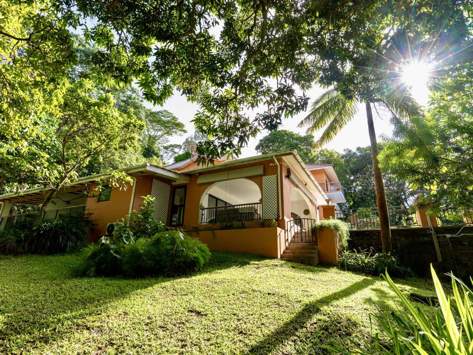 Cote Cèdres — façade et piscine