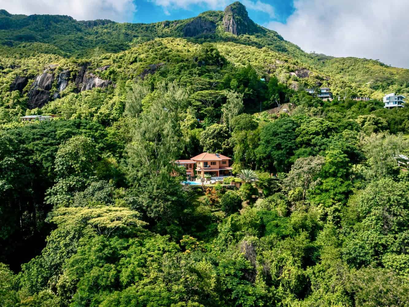 Cote Cèdres — vue jardin tropical