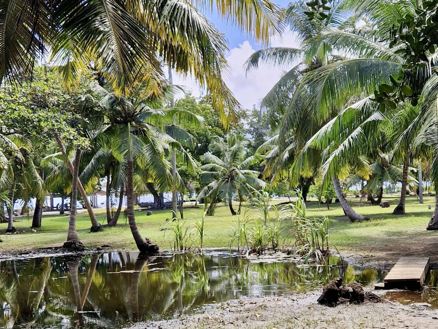 Beach BBQ stop with Zico Boat Excursions — La Digue, Seychelles
