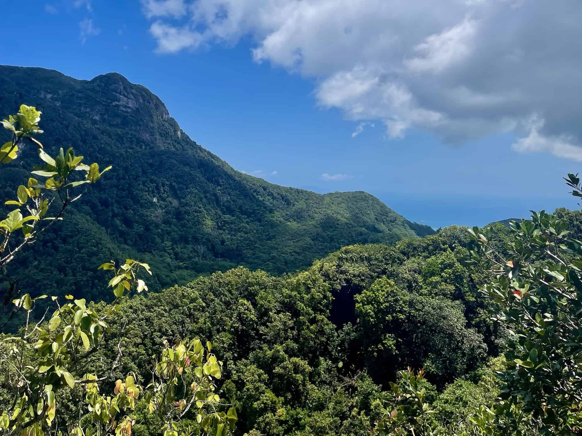 EN: Mahé hiking — palm forest, granite ridges and ocean views · FR : randonnées à Mahé — forêt tropicale, crêtes granitiques et vues sur l’océan