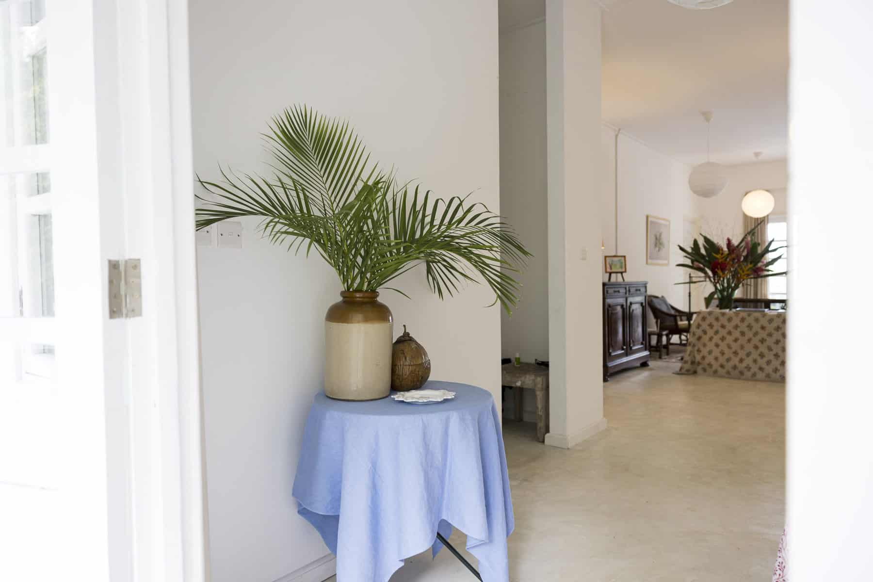 Katiti Lodge — garden path