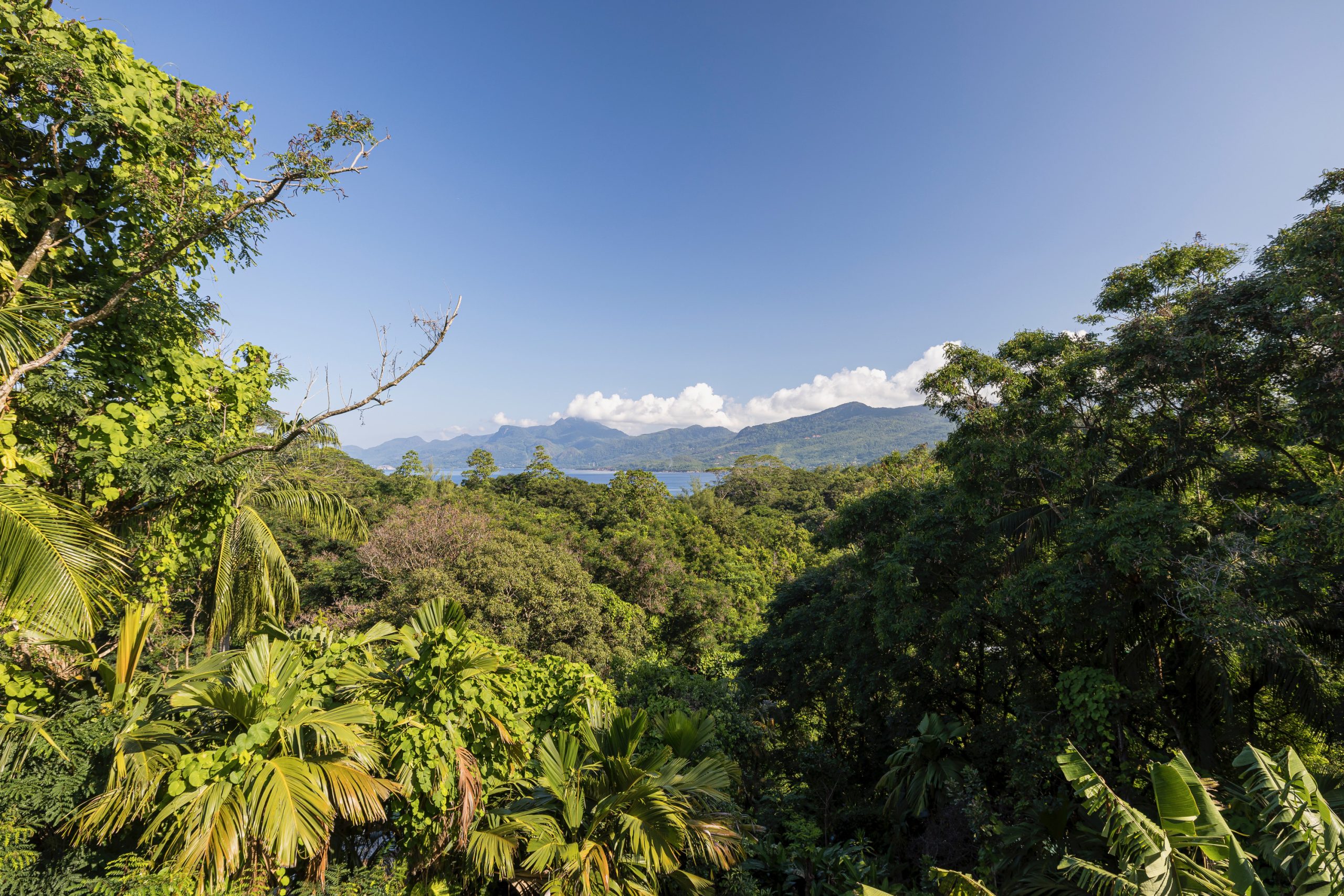 Katiti Lodge — kitchen details
