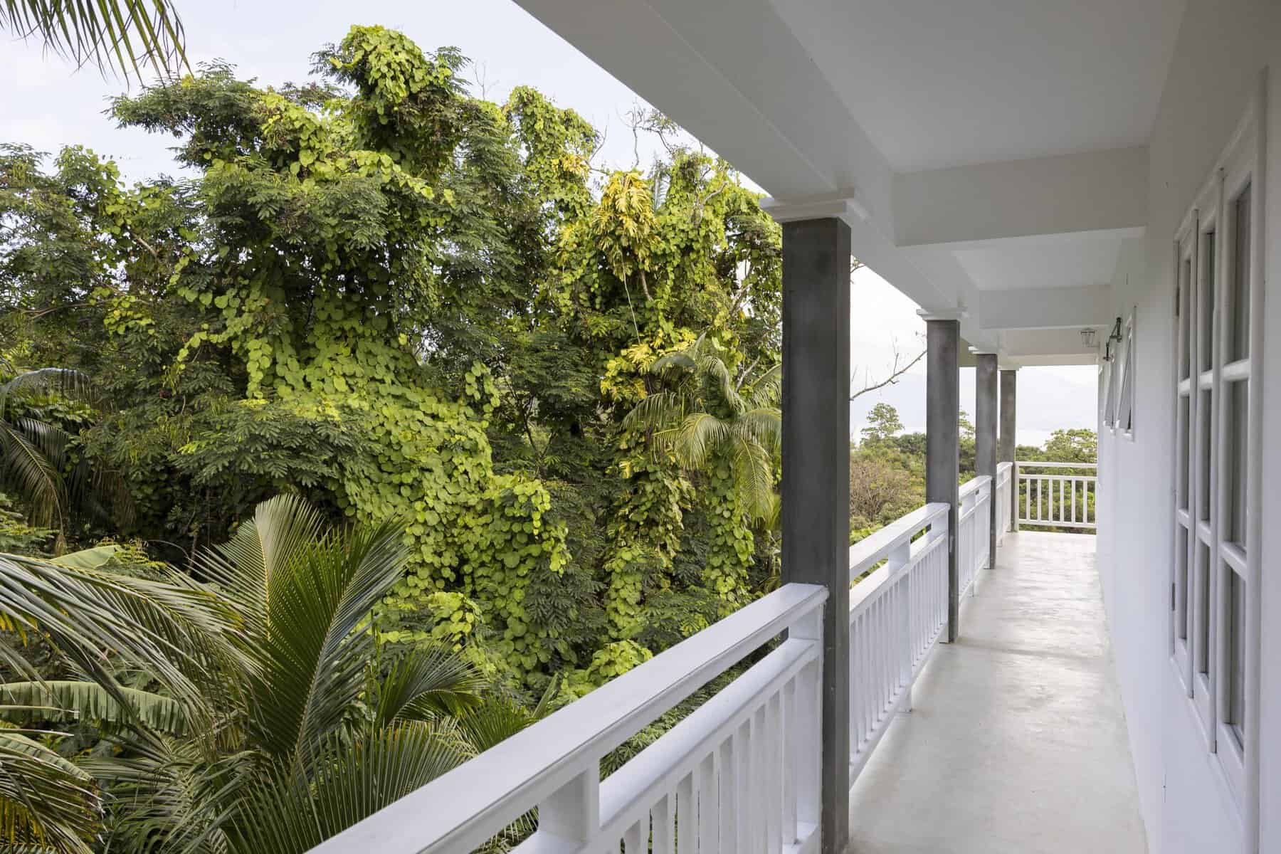 Katiti Lodge — garden and greenery