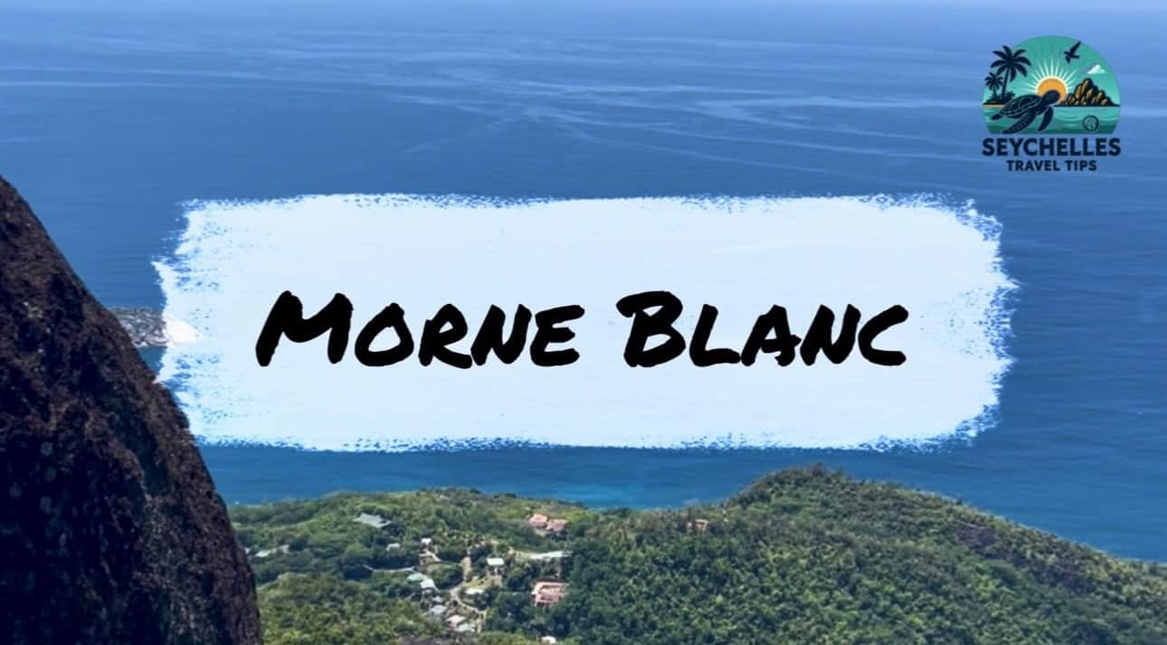 Poster — Morne Blanc Trail — panorama Port Glaud