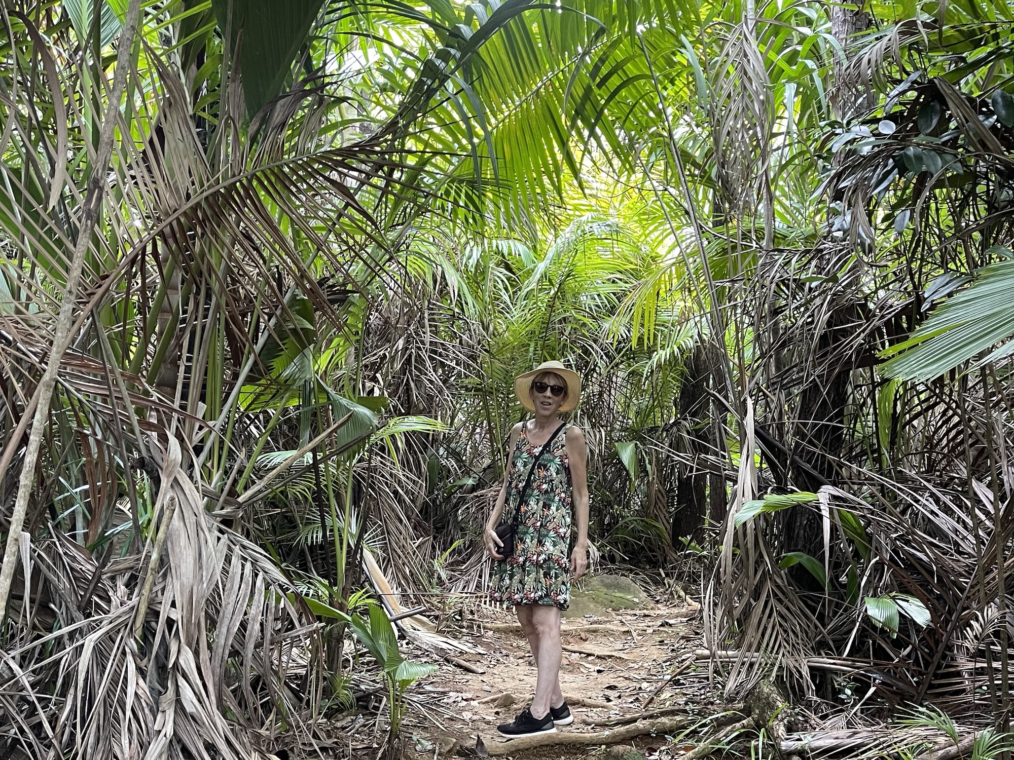 Granite rocks along Glacis Noir hiking path