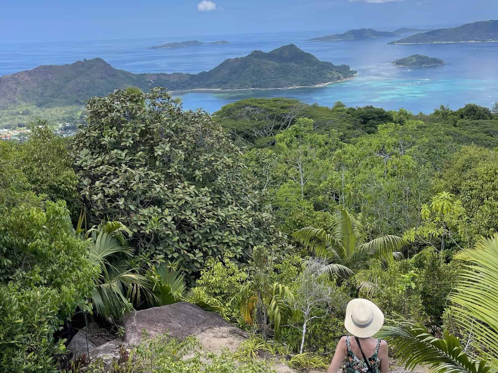 Path and roots on Glacis Noir Trail, Praslin