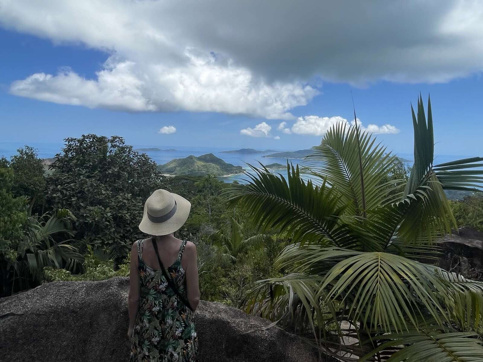 Ridge area on Glacis Noir Trail, Praslin
