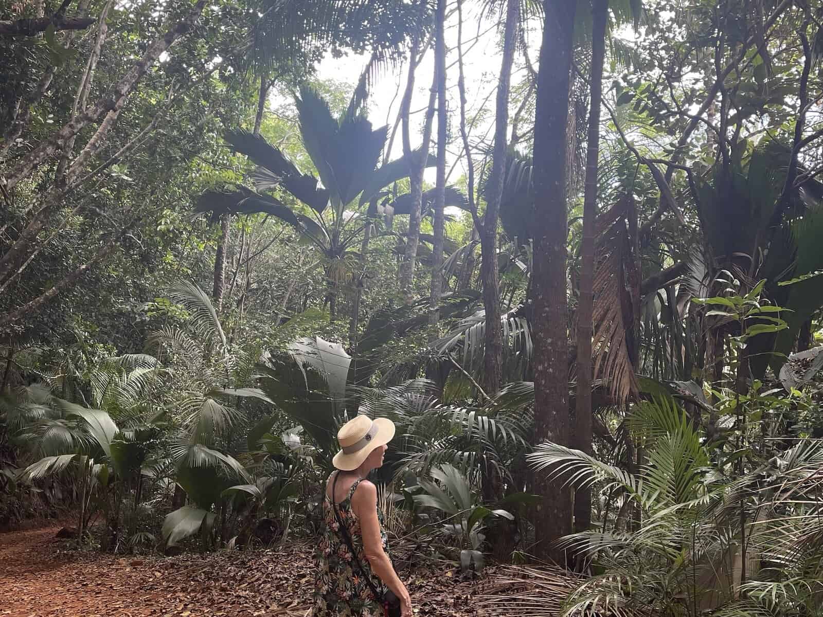 Viewpoint from Glacis Noir Trail over Praslin