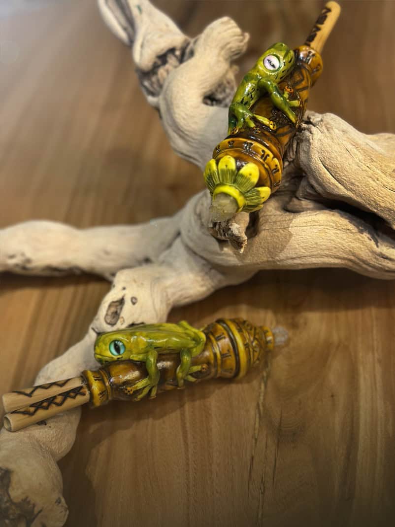 Frog-kuripe-on a table branches