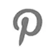 Pinterest Icon