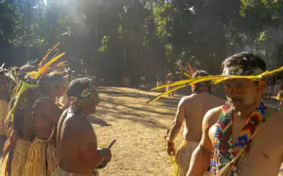Pilgrimage to the Indigenous People of the Amazon | Yawanawa Tribe Part II