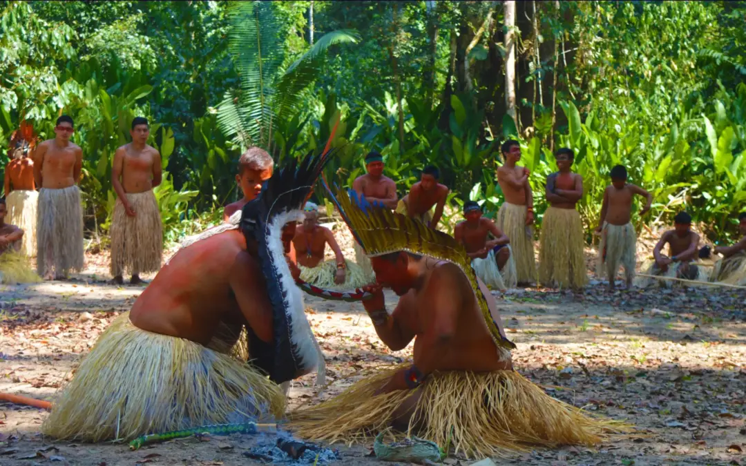 Hapé 101: A Complete Guide to Sacred Amazonian Plant Medicine