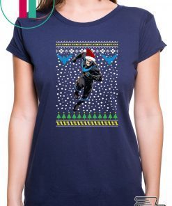 Nightwing Dick Grayson Santa Hat Ugly Christmas Shirt