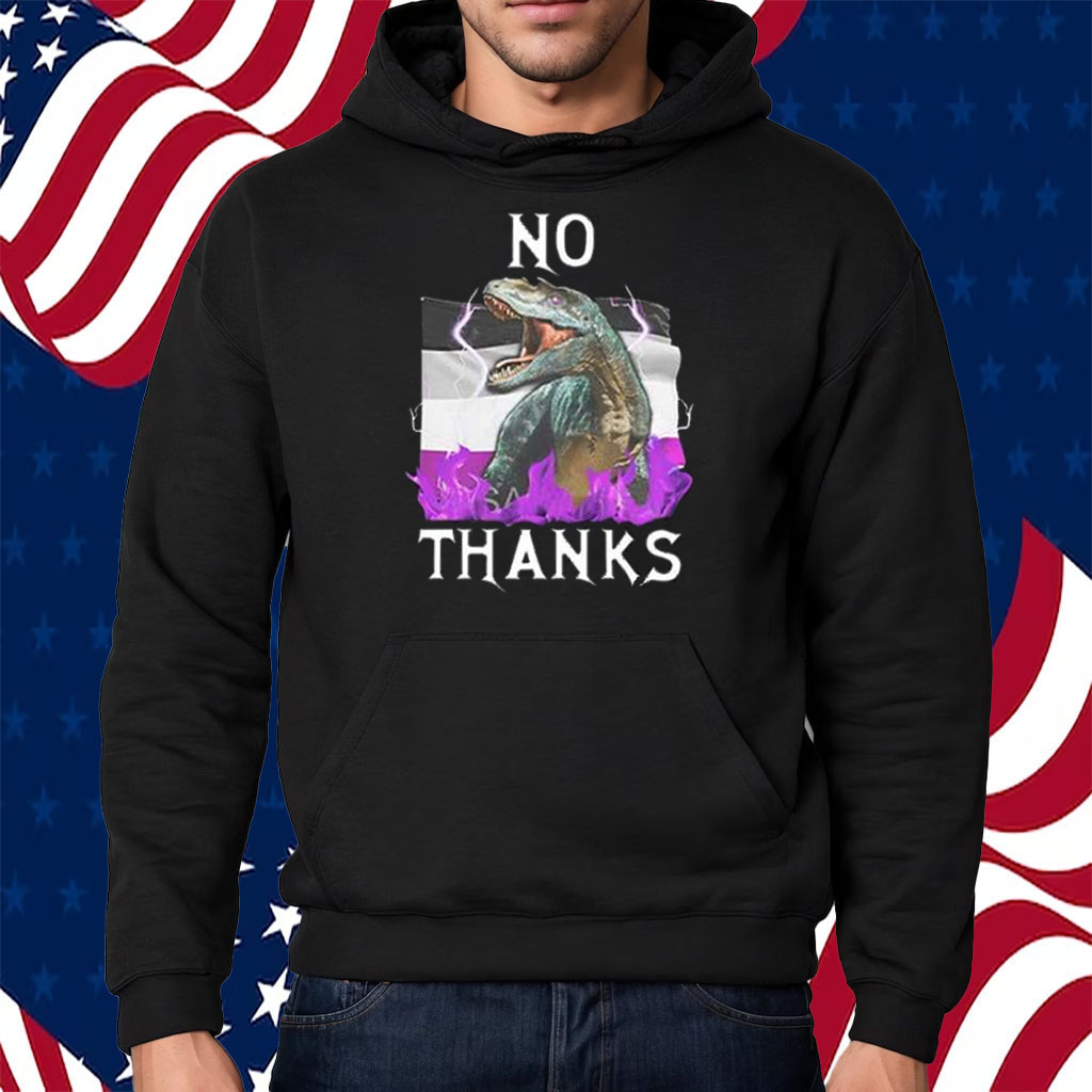 No Thanks Asexual Flag Shirt Hoodie
