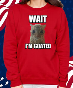 Wait I’M Goated Cringey Cat Shirt Sweatshirt