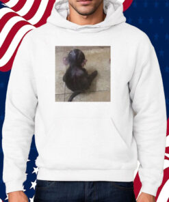 Sad Monkey In The Shower Shirt Hoodie