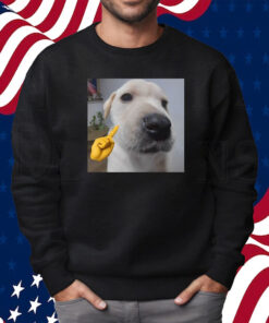 Mewing Cringey Shirt Sweatshirt