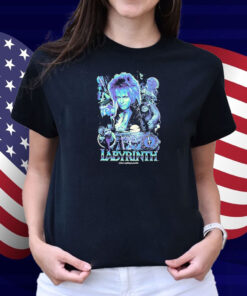 Labyrinth Where Anything Is Possible Stone Maze Shirt