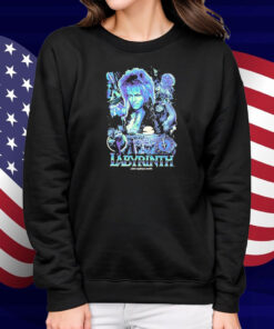 Labyrinth Where Anything Is Possible Stone Maze Shirt