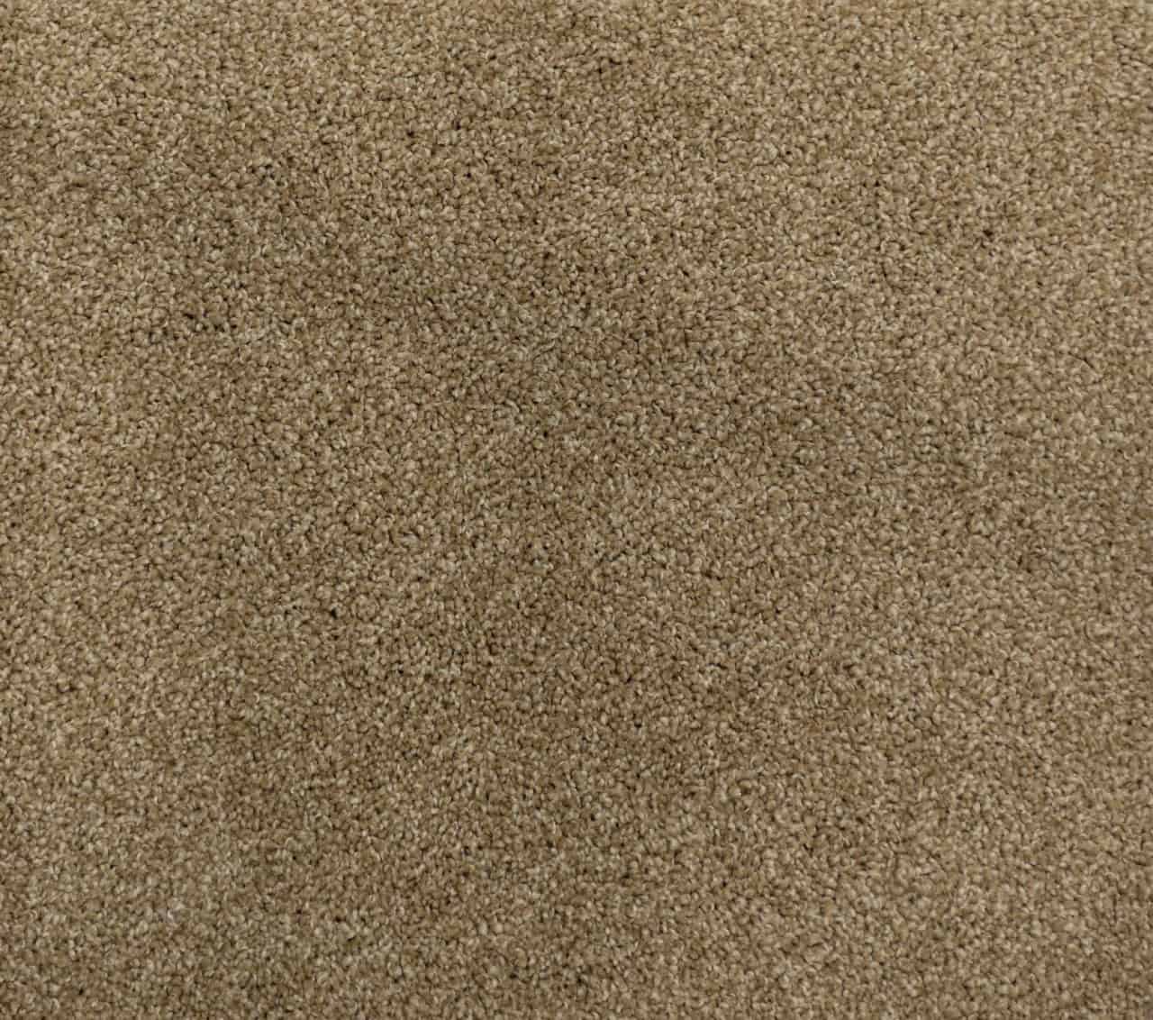 carpet flooring