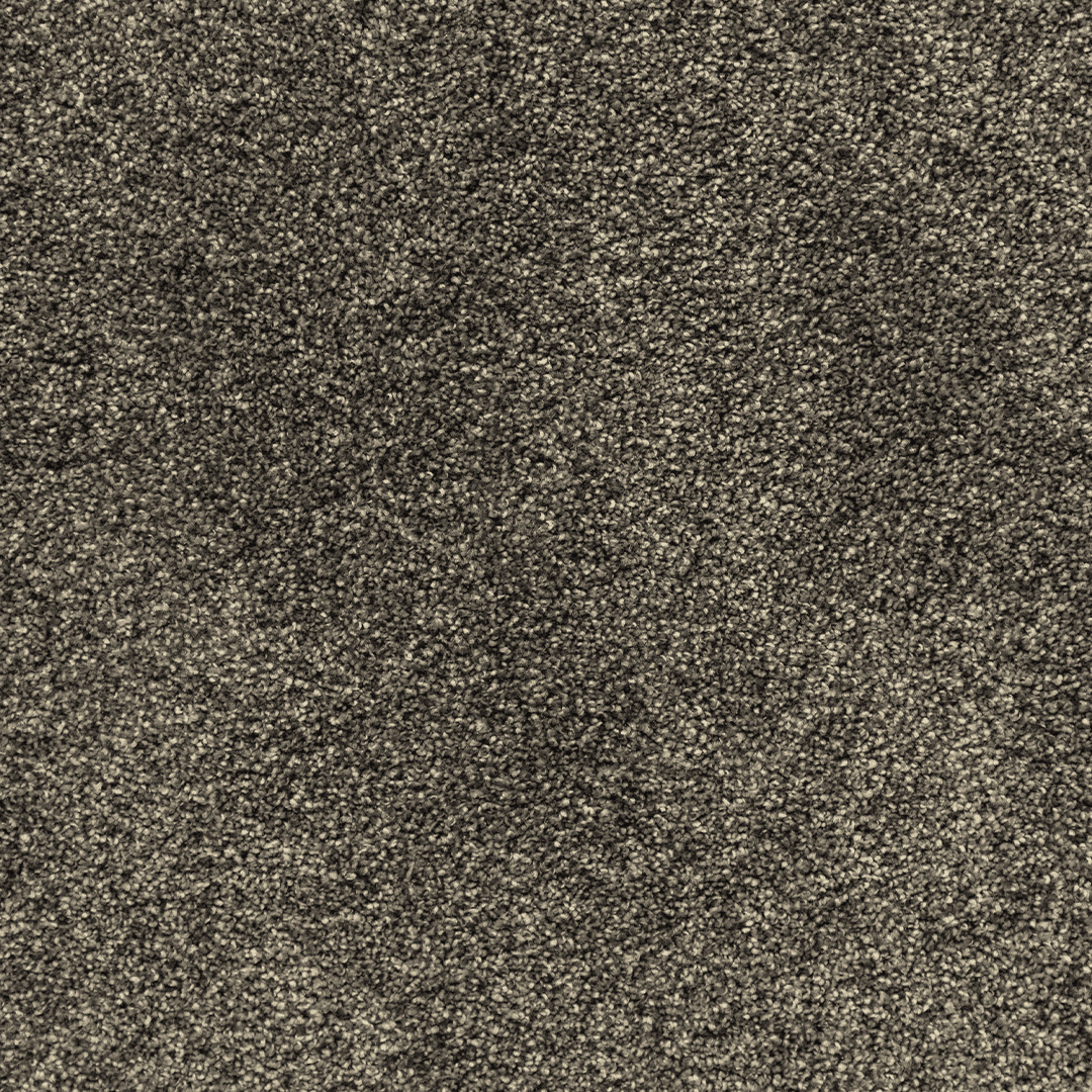 Cozy Companion II 12'