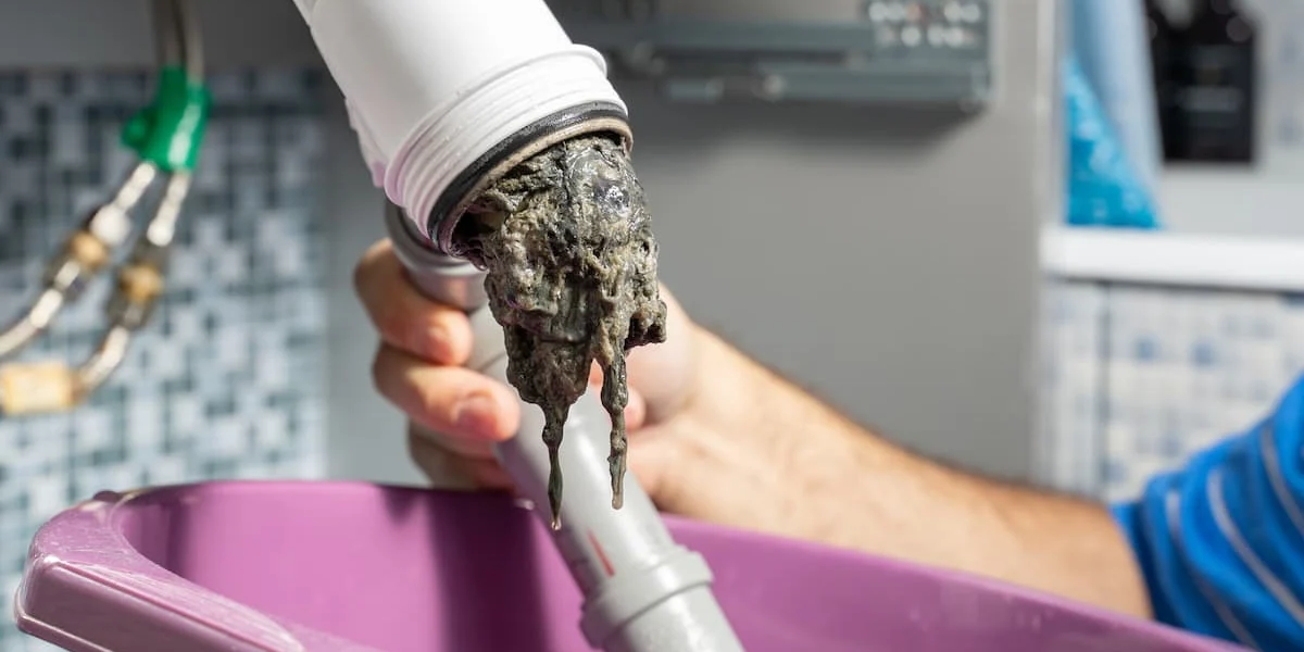 Clogged Drain Cleaning Sheet Happens Plumbing & Drain