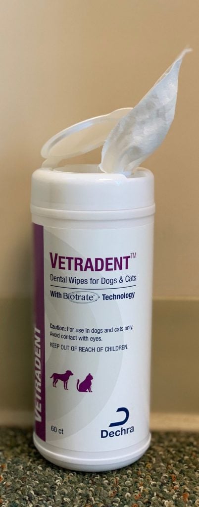 A container of vetradent dental wipes for dogs and cats, approved by veterinarians, stands on a carpeted floor, with one wipe partially pulled out from the top.