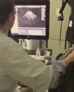 A veterinarian conducts an ultrasound, observing the monitor which displays the ultrasound image. The focus is on the vet's back and the patient's partial view.