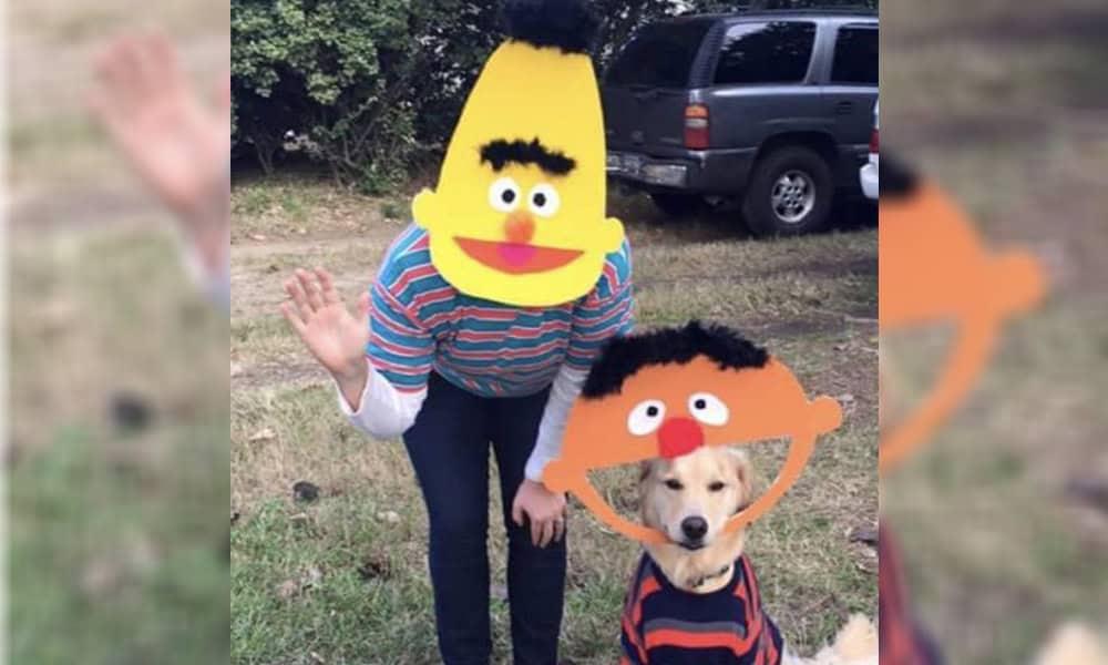 Two individuals in fun costumes; one person dressed as Bert with a large character mask, and a dog wearing an Ernie mask, standing outdoors with a veterinarian vehicle in the background.
