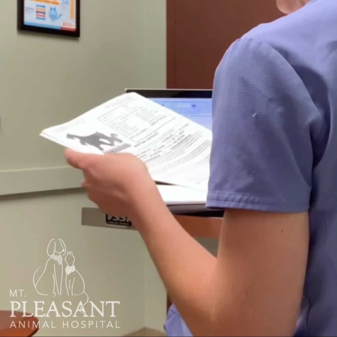 A veterinarian in blue scrubs is examining a document, with a sign reading "Mt. Pleasant Animal Hospital" visible in the background.