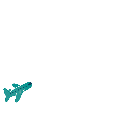 A simple teal airplane illustration, facing left, on a plain black background. The plane is depicted in a flat, minimalistic style with no visible details or markings, symbolizing the swift and direct services of a veterinarian transport.