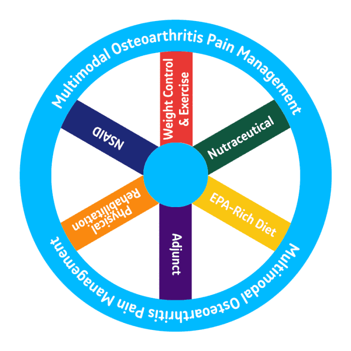 pain management veterinary protocol options
