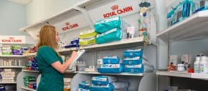 A female vet restocking pet food and supplies on shelves in a veterinary clinic.