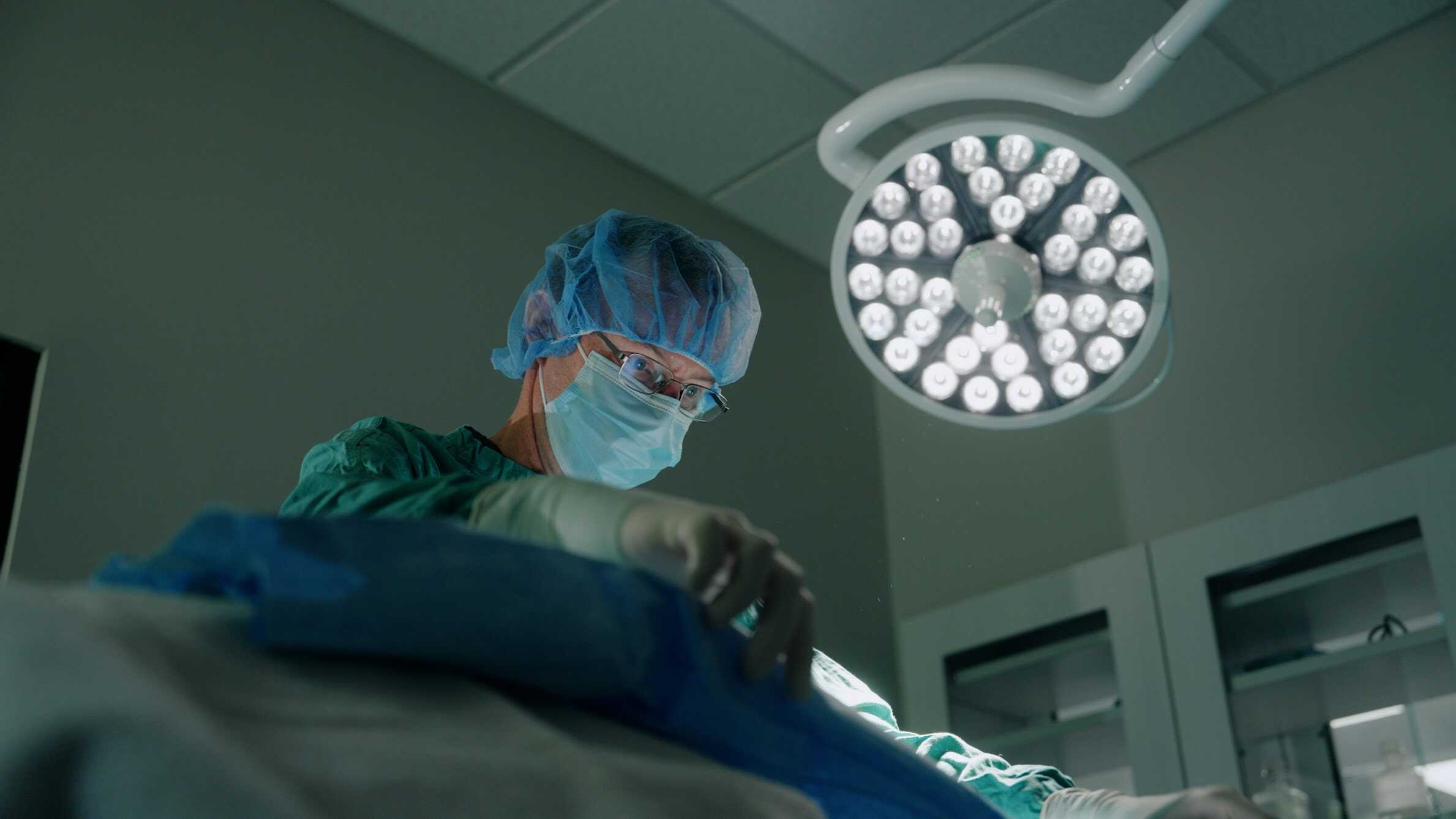 Veterinarian in Surgery | Anesthesia Dental Care for Pets | Shuler Veterinary Clinic | Mount Pleasant SC