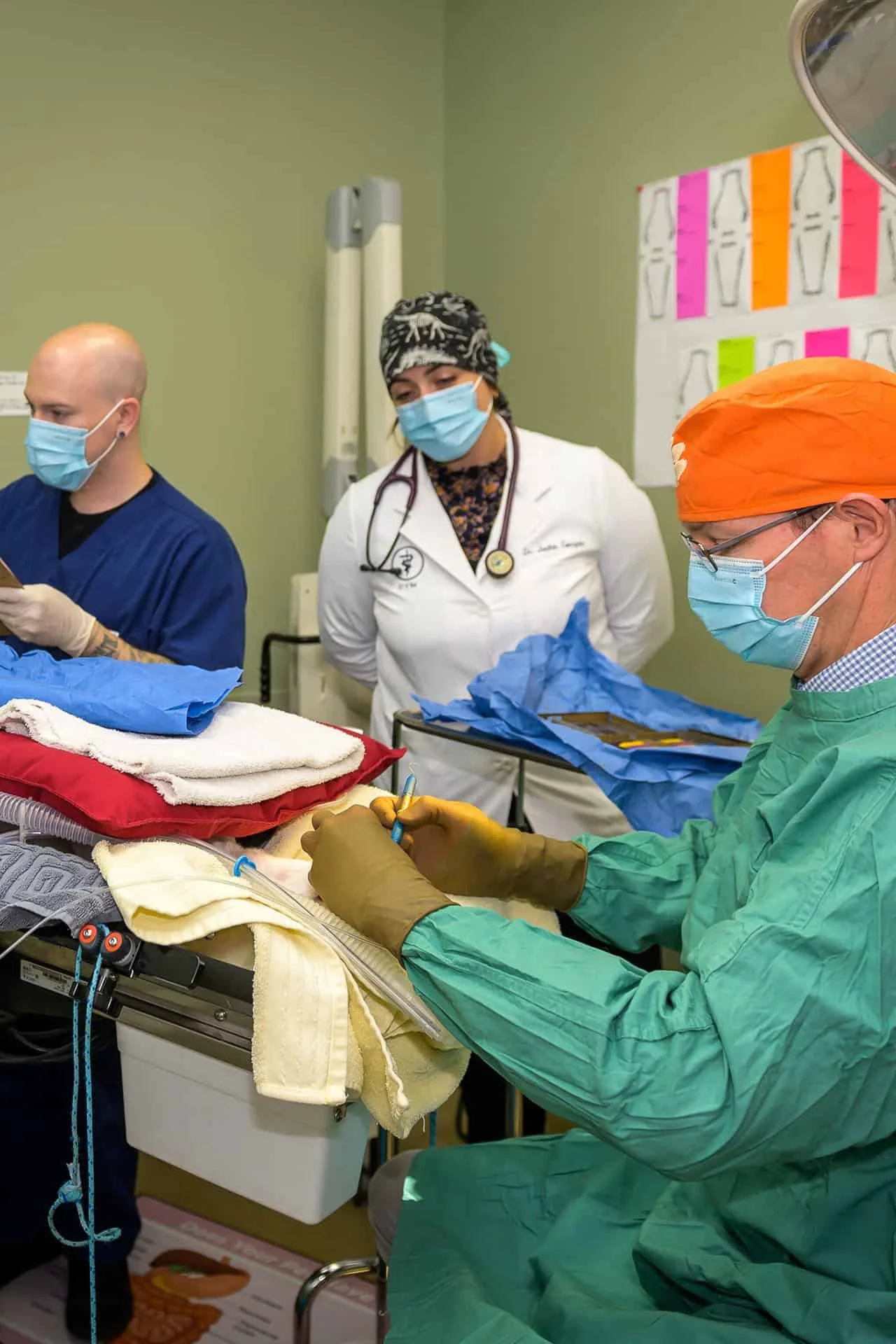 Three veterinary professionals in scrubs and surgical masks are focused on a procedure in a clinical setting, using various medical tools.