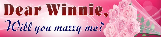 Will you marry me Banner Singapore