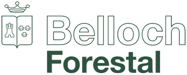 Estudi de l’ecosistema empresarial de l’entorn del Parc de Belloch