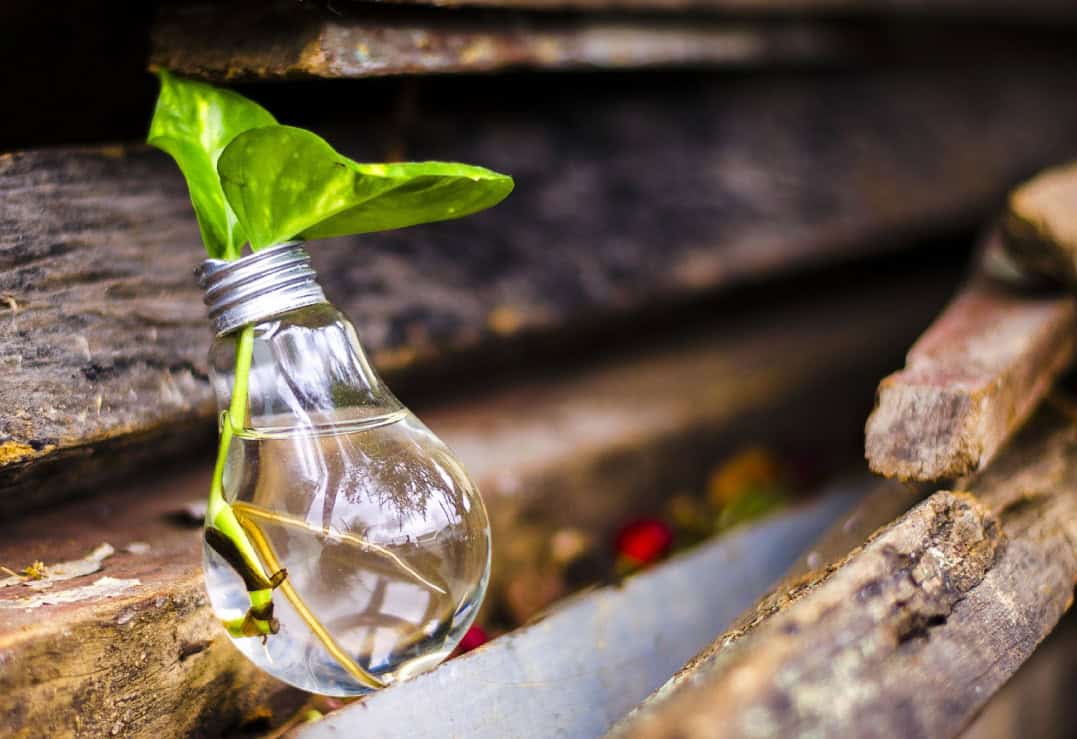 Impulsant l’Economia Circular al Berguedà