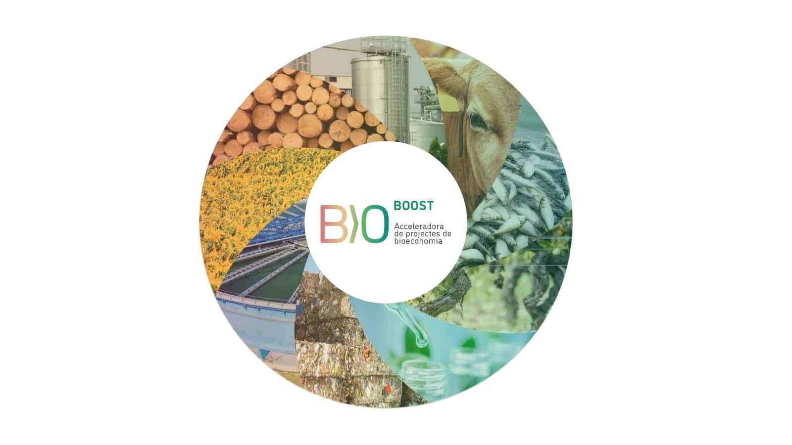 BioBoost – Acceleradora de Projectes de Bioeconomia